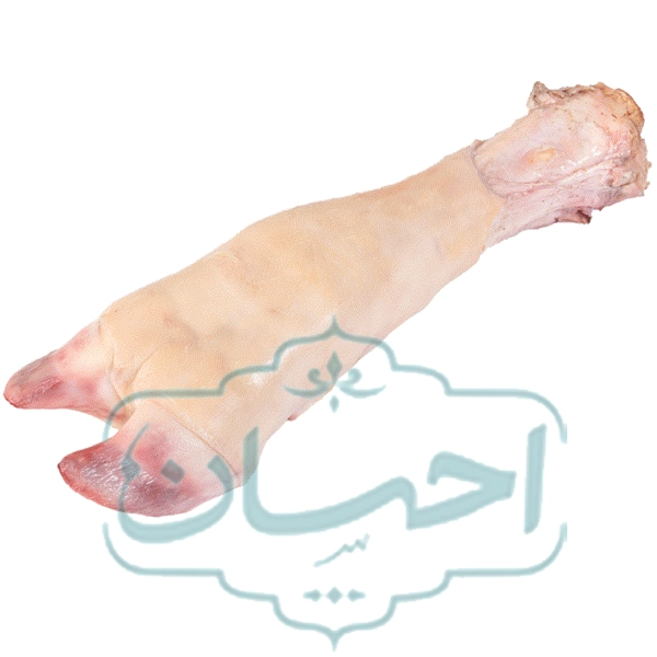 پاچه گوساله